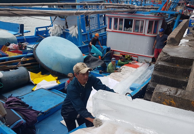 Khánh Hòa: Ngư dân bỏ Tết vươn Trường Sa, bám vụ cá ngừ đại dương - 4