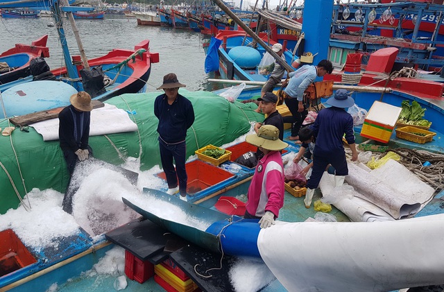 Khánh Hòa: Ngư dân bỏ Tết vươn Trường Sa, bám vụ cá ngừ đại dương - 5