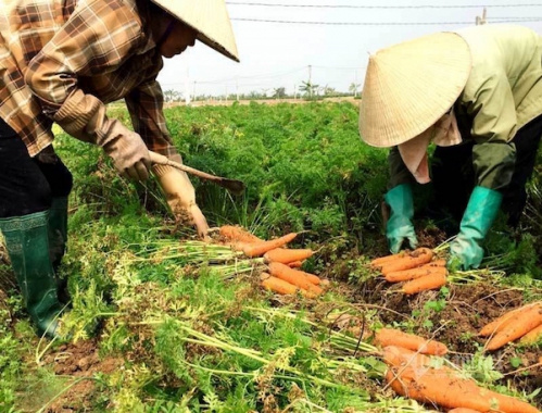 Không “ngăn sông cấm chợ” đối với vận tải hàng hóa