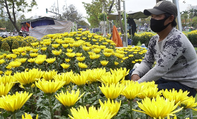 Ế hoa Tết, dân buôn thà đập chậu bỏ chứ không bán tháo - 2