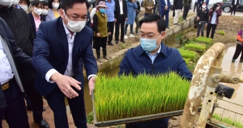 Bí thư và Chủ tịch TP Hà Nội xuống đồng cấy lúa, động viên nông dân