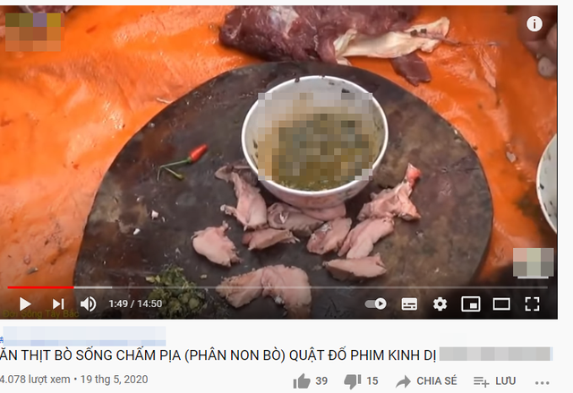 Youtuber đua cày view, bất chấp trò độc hại, kiếm cả chục tỷ đồng mỗi năm - 4