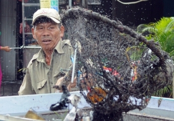 Người thương binh mỗi ngày vớt hàng trăm kg rác "giải cứu" dòng kênh