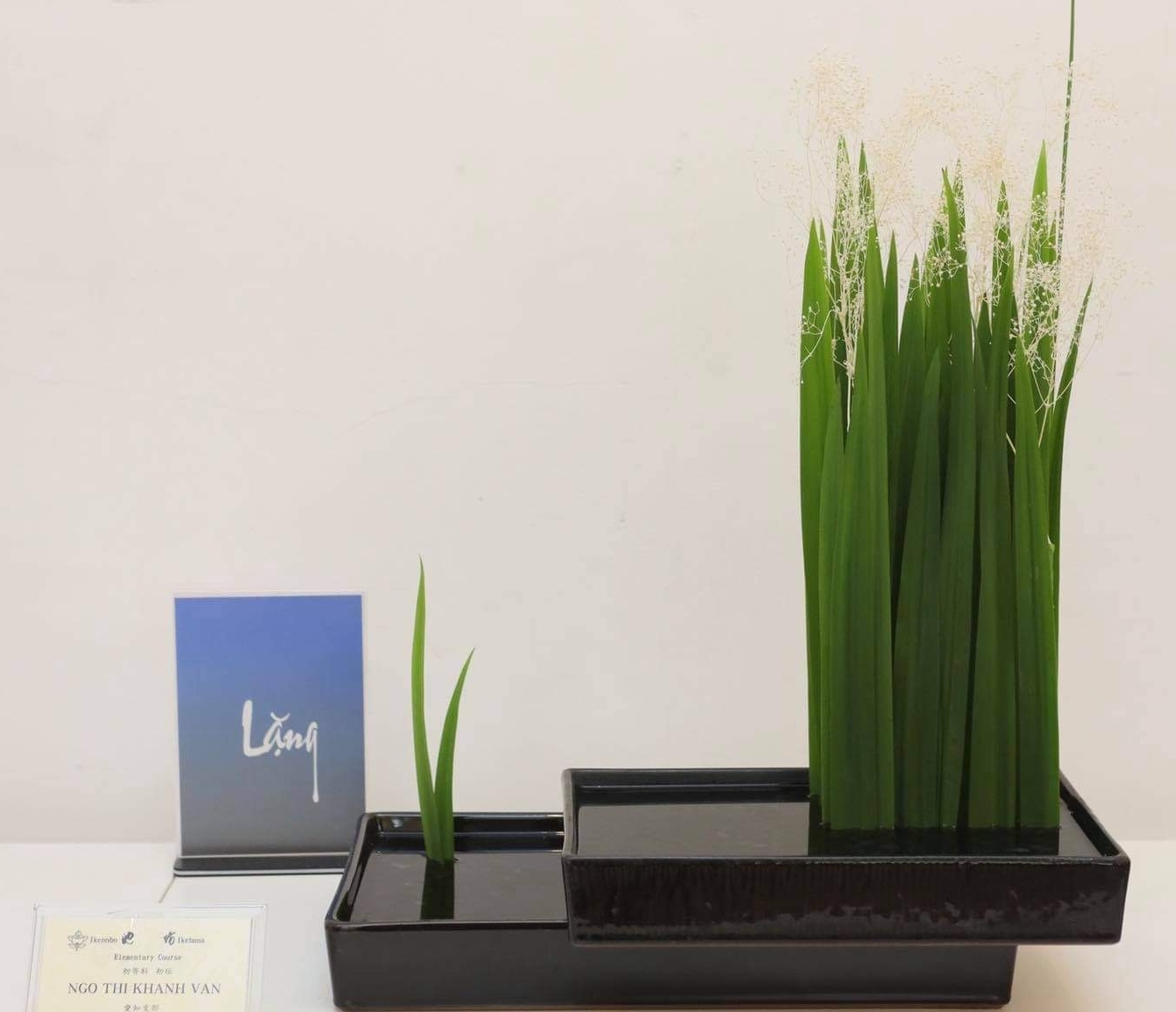 Triển lãm Ikebana Hà Nội lần thứ 4: “Lặng” để trân quý những điều ta đang có