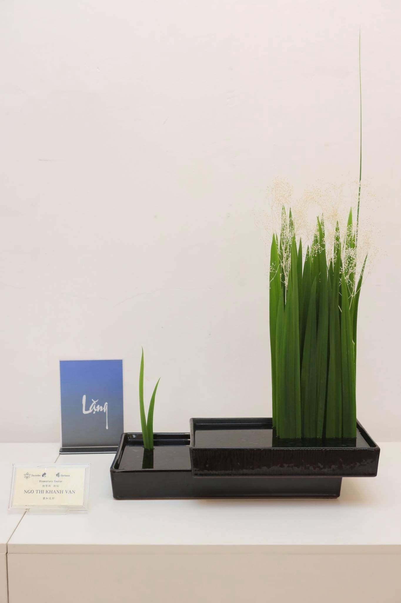 Triển lãm Ikebana Hà Nội lần thứ 4: “Lặng” để trân quý những điều ta đang có