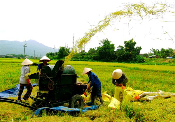 khai mac dai hoi dang bo tp ha noi lan thu xvi