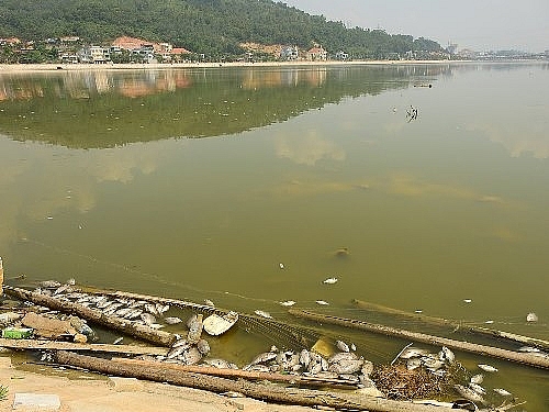 ca chet hang loat tai bon ho dieu hoa o quang ninh