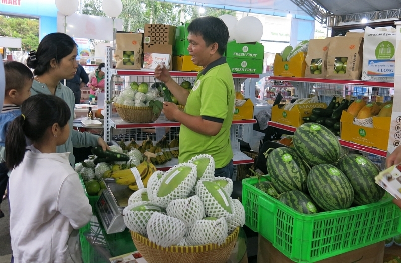 xuc tien thuong mai va dau tu tp hcm nam 2020 se nang cao ca ve luong va chat