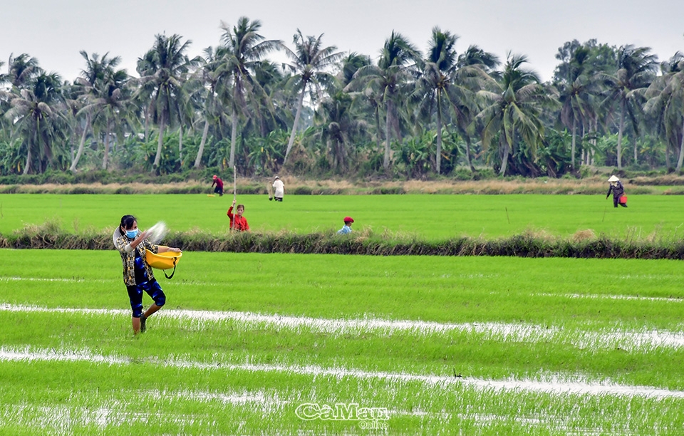 Thủ tướng quyết gia hạn miễn, giảm thuế sử dụng đất nông nghiệp đến hết 2025