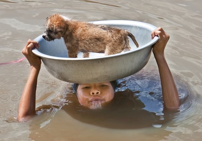 “Không bằng con… chó!”