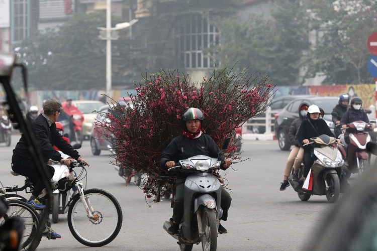 hoa dao xuong pho mang sac xuan tran ngap pho phuong