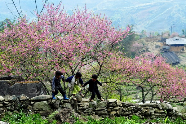 tu vi thu ba ngay 522019 cua 12 cung hoang dao