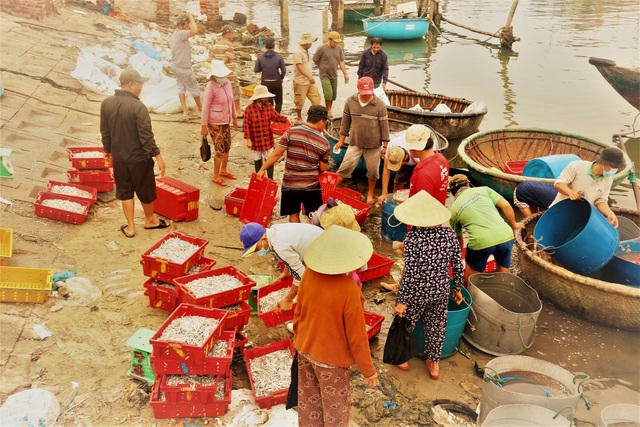 Nhộn nhịp mưu sinh ở làng chài ven biển trong buổi sớm mai