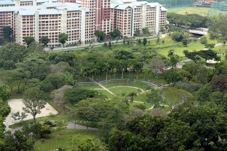 Singapore phủ xanh thành phố ra sao? - 1