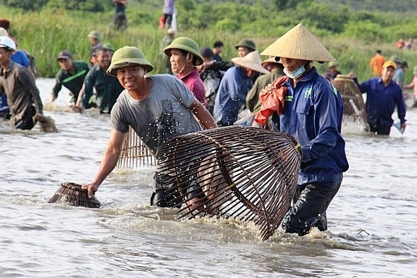 Hàng ngàn người dân đội nắng lội bùn tìm “vận may”