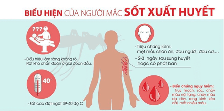 Số mắc sốt xuất huyết tiếp tục tăng cao, 22 người đã tử vong - 1