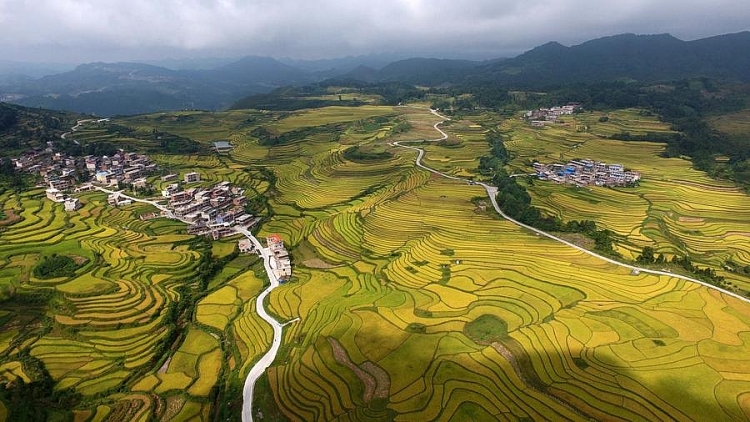 ngam nhung canh dong bat ngat tu tren cao