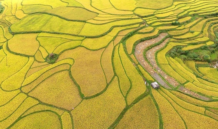 ngam nhung canh dong bat ngat tu tren cao