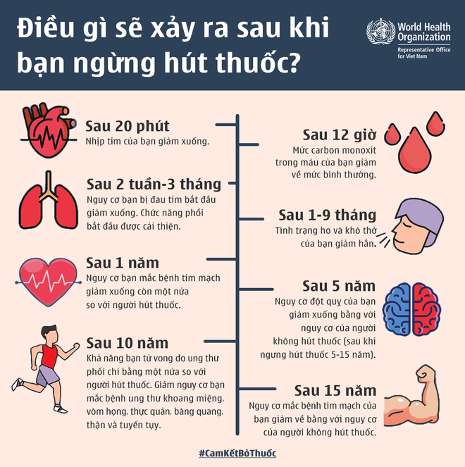 Ngừng hút thuốc sau 10 năm giảm hàng loạt nguy cơ ung thư - 1