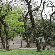 kiem lam ha noi nguoi dan co quyen tu ban cay sua