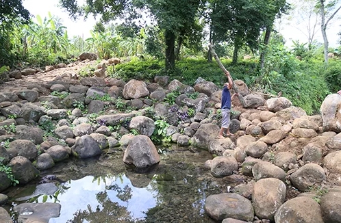 quang tri tu bo gieng co 2000 nam