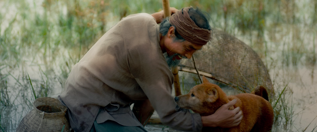 Phim “Cậu Vàng” chưa lên sóng đã dính lùm xùm, gây tranh cãi - 3