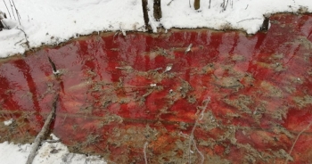 "Dòng sông máu" gây xôn xao cộng đồng mạng ở Nga