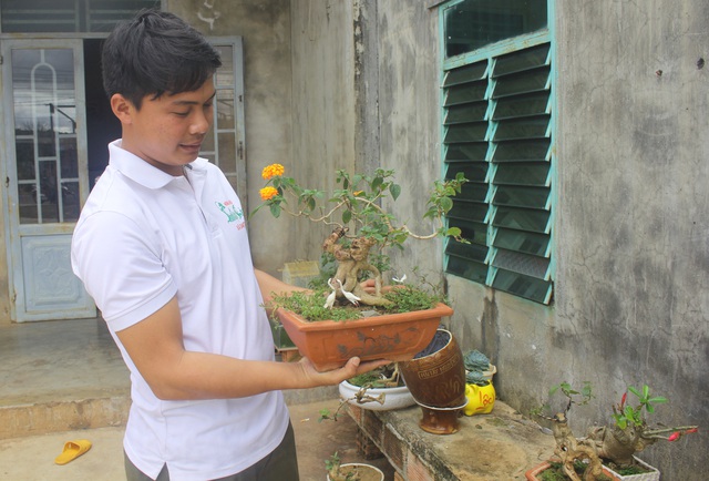 Nông dân biến cây hoa dại thành bonsai ngũ sắc tiền triệu - 7