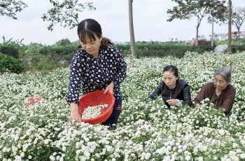 5 làng nghề độc đáo ngoại thành Hà Nội