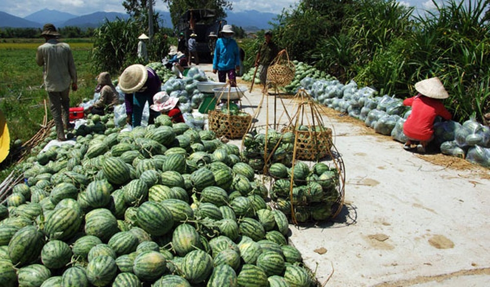 nhieu nong san thuc pham tang gia tro lai