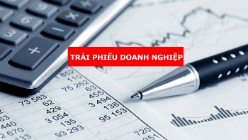 Trái phiếu doanh nghiệp phát triển nhanh chủ yếu tại các tập đoàn tư nhân lớn