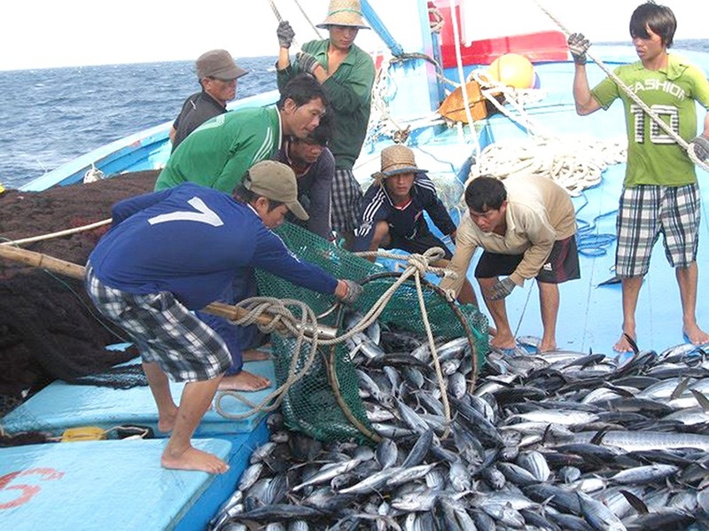 Phải gỡ “thẻ vàng” IUU vì danh dự quốc gia