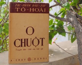 O mèo và o chuột