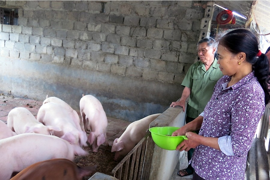 gia lon hoi tang manh nguoi nuoi van phai de chung