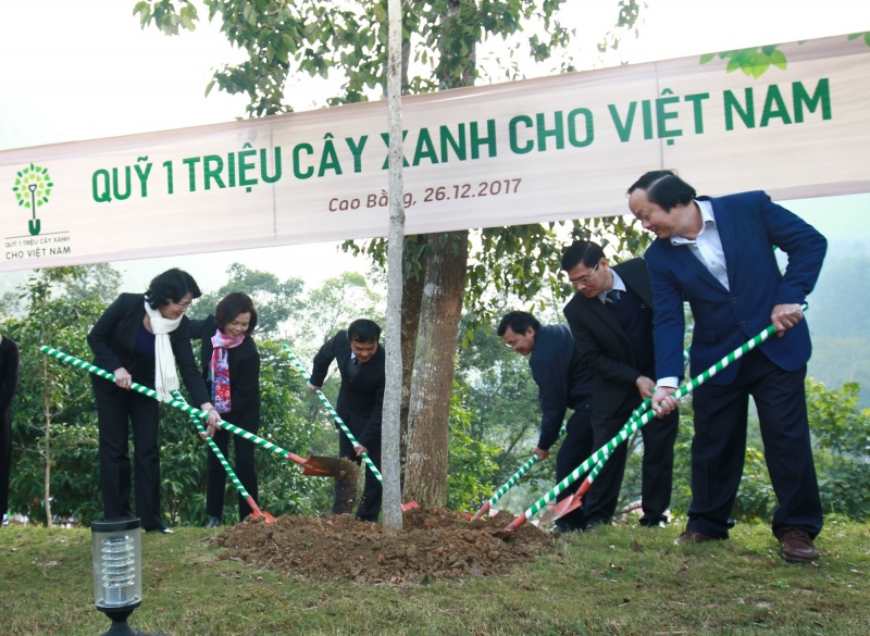 hanh trinh ve nguon cua vinamilk va quy 1 trieu cay xanh tai tinh cao bang