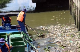 Cá lại chết trắng trên kênh Nhiêu Lộc - Thị Nghè