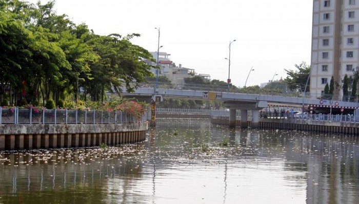 ca chet noi trang kenh nhieu loc thi nghe