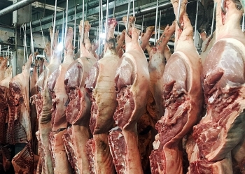 TP HCM: Khó thực hiện truy xuất nguồn gốc thịt heo