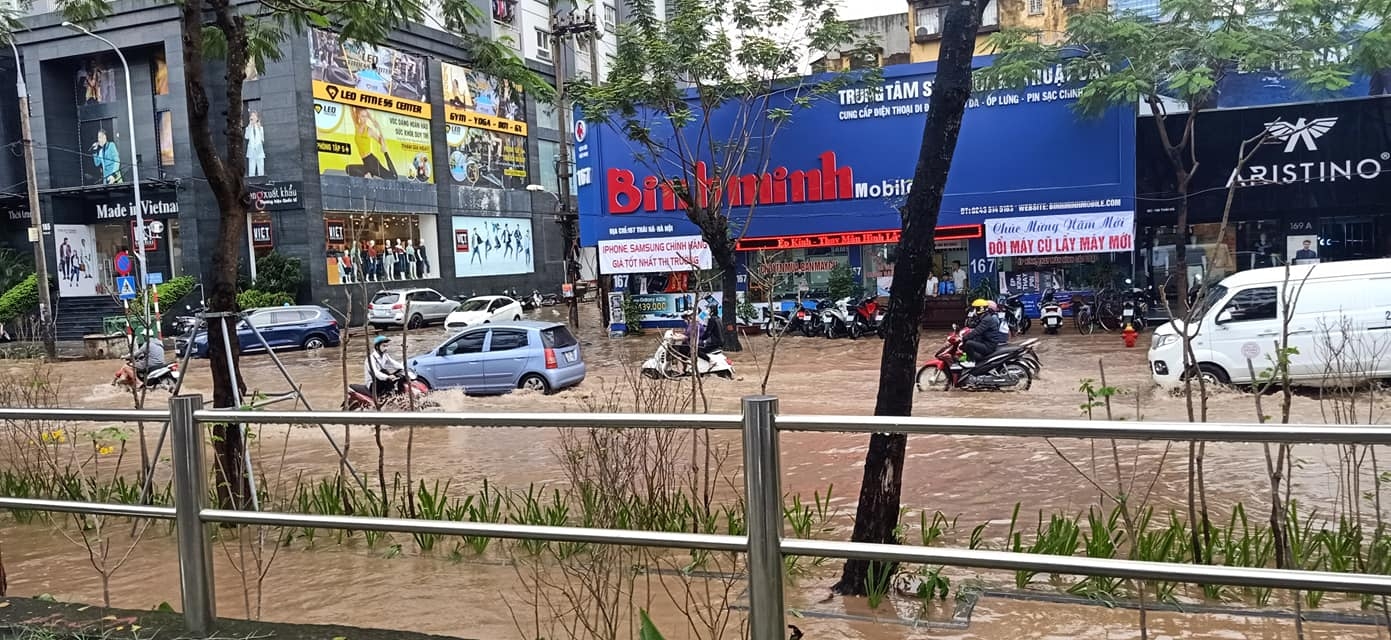 ha noi cay co thu bat goc de bep o to vios