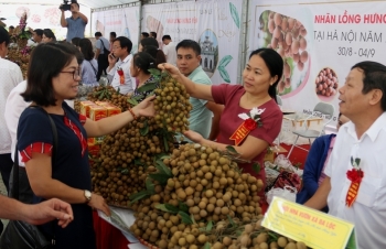 Đưa nhãn lồng chính hiệu đến tay người tiêu dùng Thủ đô