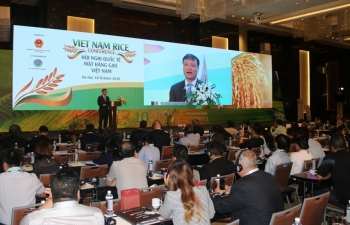 Xuất khẩu gạo Việt Nam đứng thứ 3 thế giới
