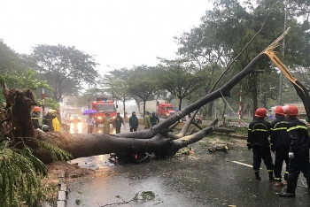 Bão số 9: TP HCM ngập trên diện rộng, một người tử vong