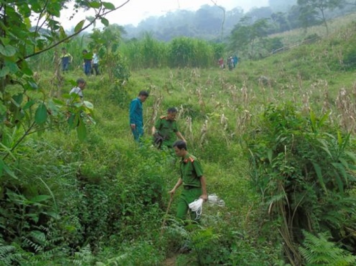 dan giai tan lao lo ve phin ngan thuc nghiem hien truong