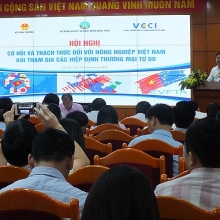 choi voi eu nguoi viet moi nang cap duoc gia tri cua minh