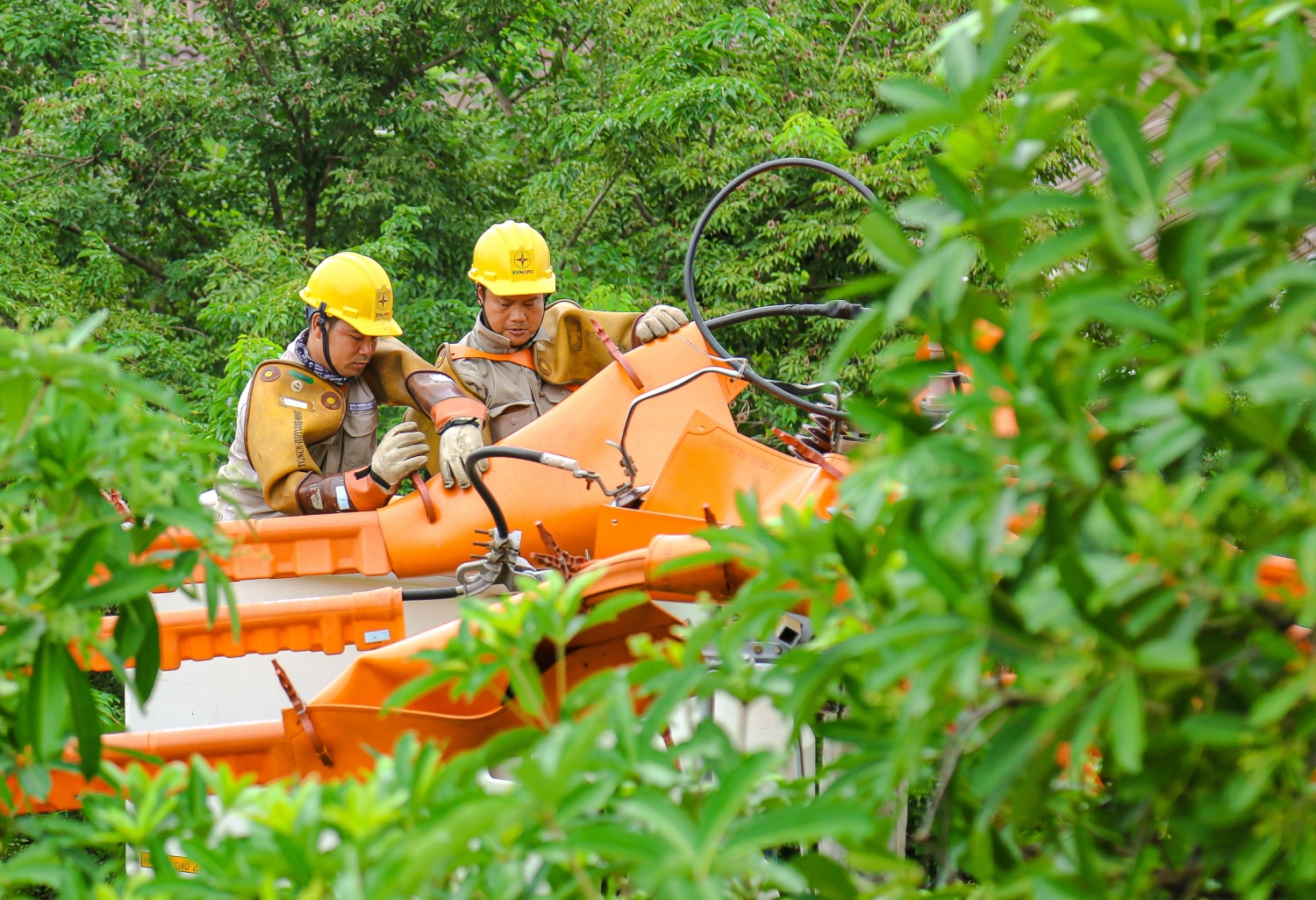 Nhiều đầu số giả mạo Trung tâm chăm sóc khách hàng Điện lực miền Trung