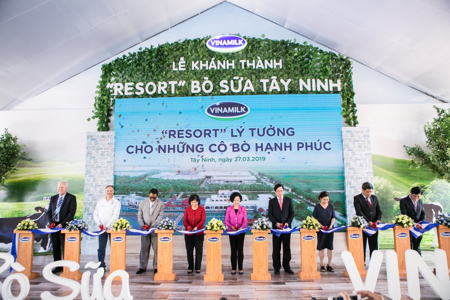 “Resort” bò sữa Vinamilk Tây Ninh: Ngôi nhà lý tưởng của những cô bò hạnh phúc!