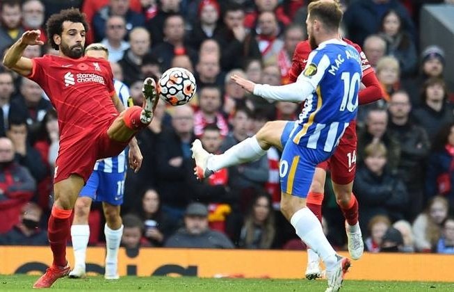 Link xem trực tiếp Brighton vs Liverpool (Ngoại hạng Anh), 19h30 ngày 12/3/2022