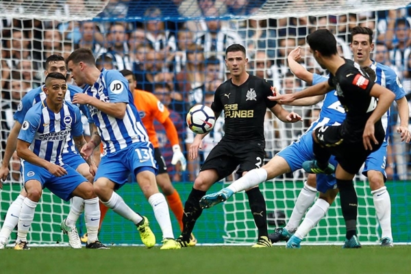 Xem trực tiếp bóng đá Brighton vs Newcastle ở đâu?