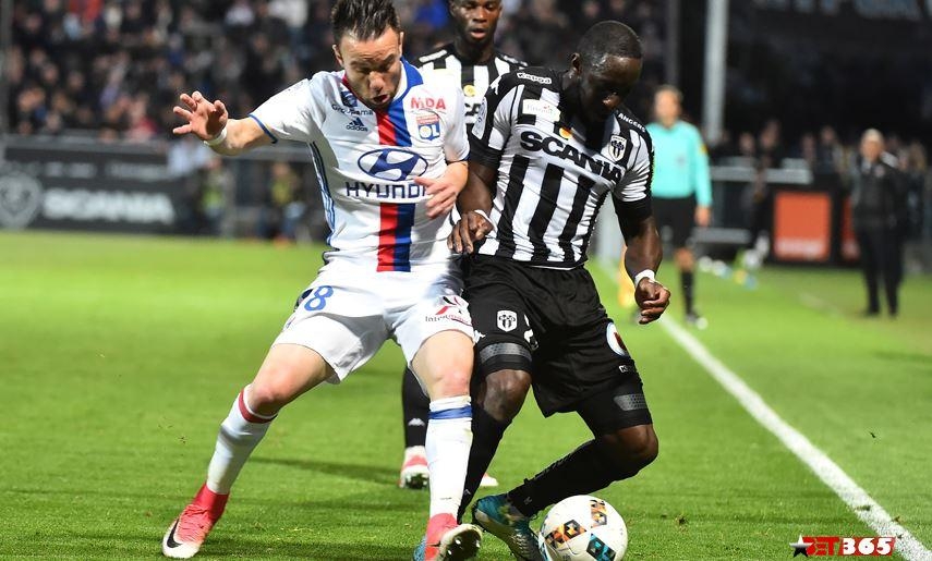 Link xem trực tiếp bóng đá Lyon vs Angers (Ligue 1), 1h45 ngày 17/8