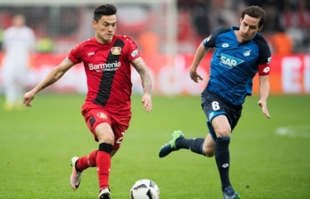 Link xem trực tiếp bóng đá Leverkusen vs Hoffenheim (VĐ Đức), 20h30 ngày 31/8